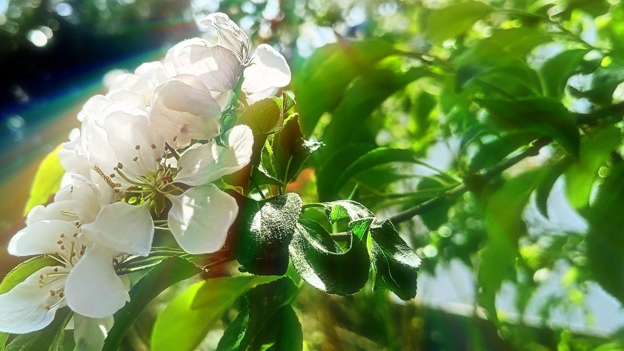 StadtPraxis_de_Behandlung