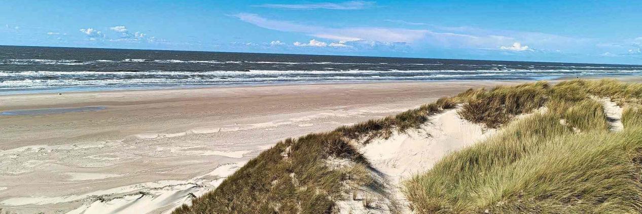 Information_Stadt-Praxis_de