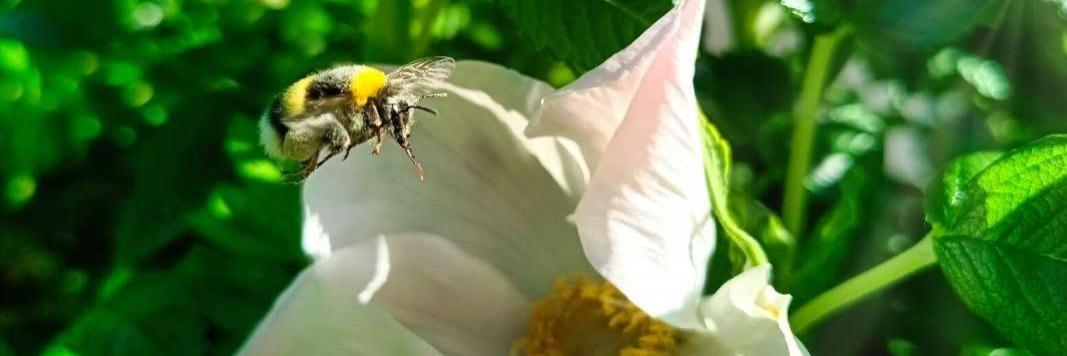 Preisliste_Stadt-Praxis_de