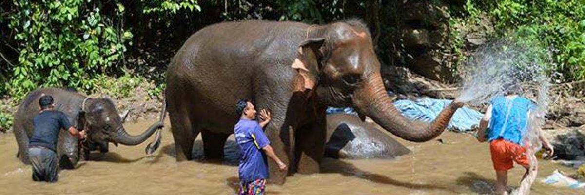 Kontakt_Stadt_Praxis_de